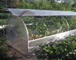 Come costruire da soli una serra per farfalle in policarbonato