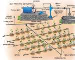 Come fare l'irrigazione a goccia in una serra