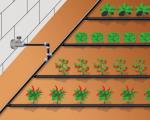 Come organizzare l'irrigazione automatica in una serra